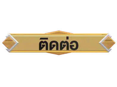 แบนเนอร์ 12