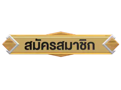 แบนเนอร์ 4